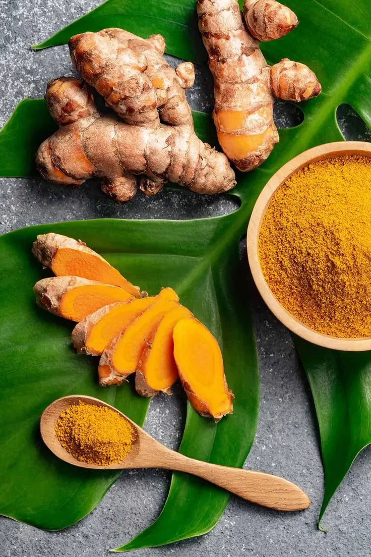 Racine de Curcuma Bio. GreenVitality