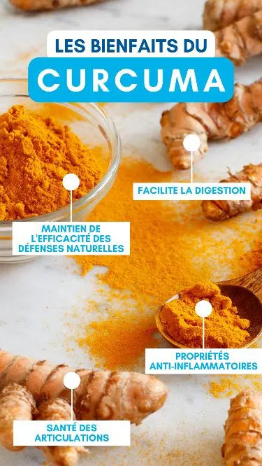 Racine de Curcuma Bio. GreenVitality