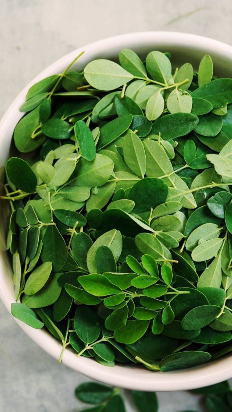 Feuilles de Moringa Bio. GreenVitality