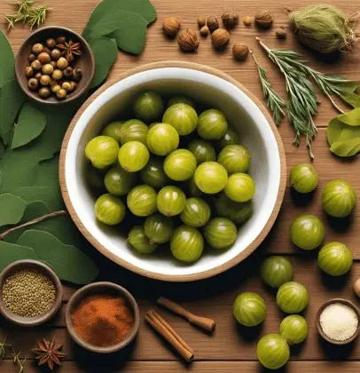 Amla Bio de Bali L’antioxydant naturel