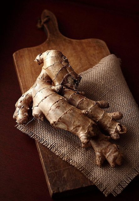 Gingembre Bio Énergie & Digestion – 100 % naturel.
