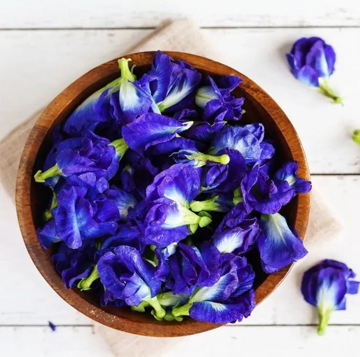 Fleur de Pois Papillon Bio – Boost antioxydant & clarté mentale