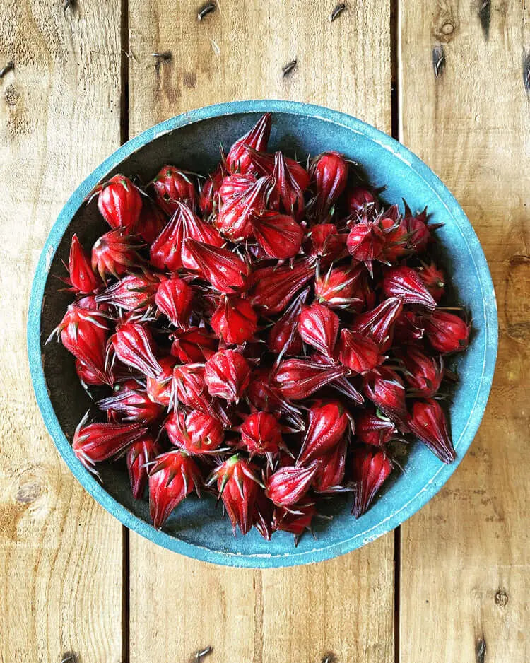 Red rosella flowers in a blue bowl on wooden background.