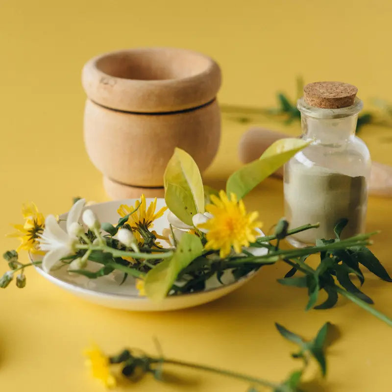 Découvrez-les-Compléments-Alimentaires-Biologiques-de-Green-Vitality-Bali GreenVitality