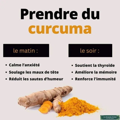 Curcuma Brut de Bali – Le super-aliment anti-inflammatoire 100% naturel