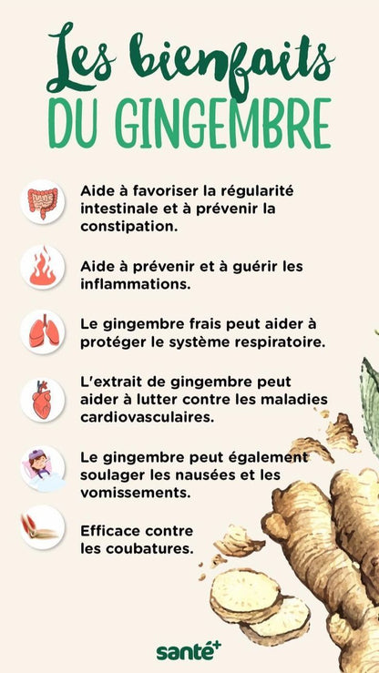 Gingembre Bio Énergie & Digestion – 100 % naturel.