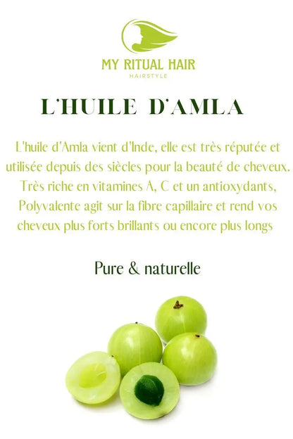 Amla Bio de Bali  L’antioxydant naturel