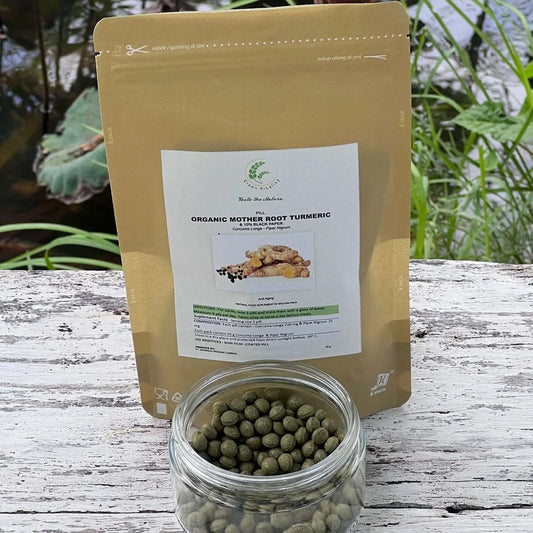 "GREENVITALITY Organic Jamu - ginger cinnamon and turmeric tea Blend for Vitality, 45g"